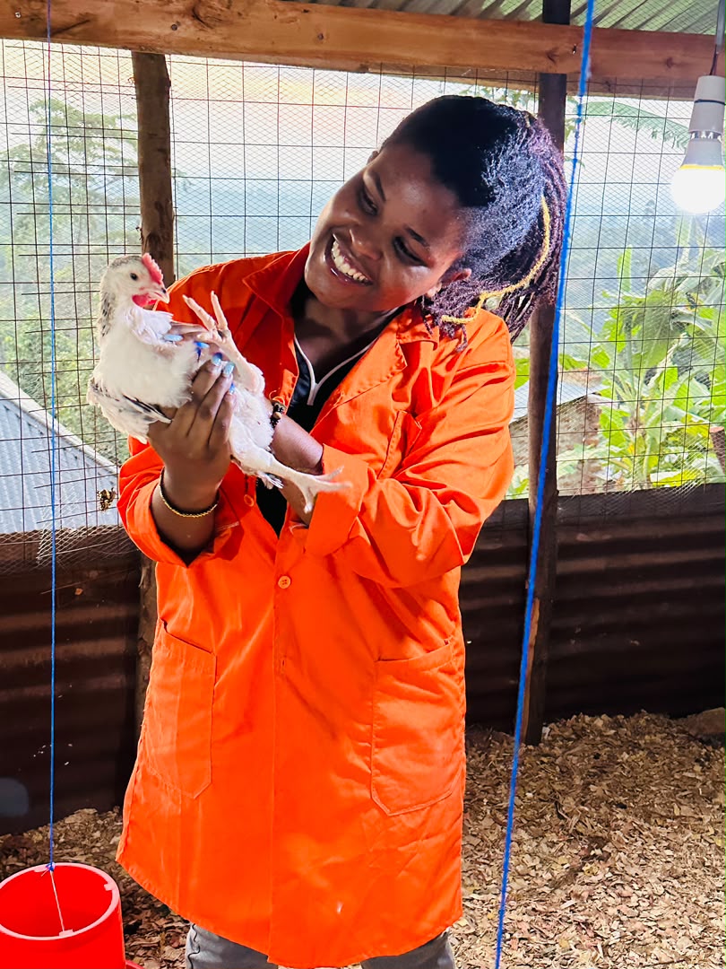 One-Month-Old Chicks