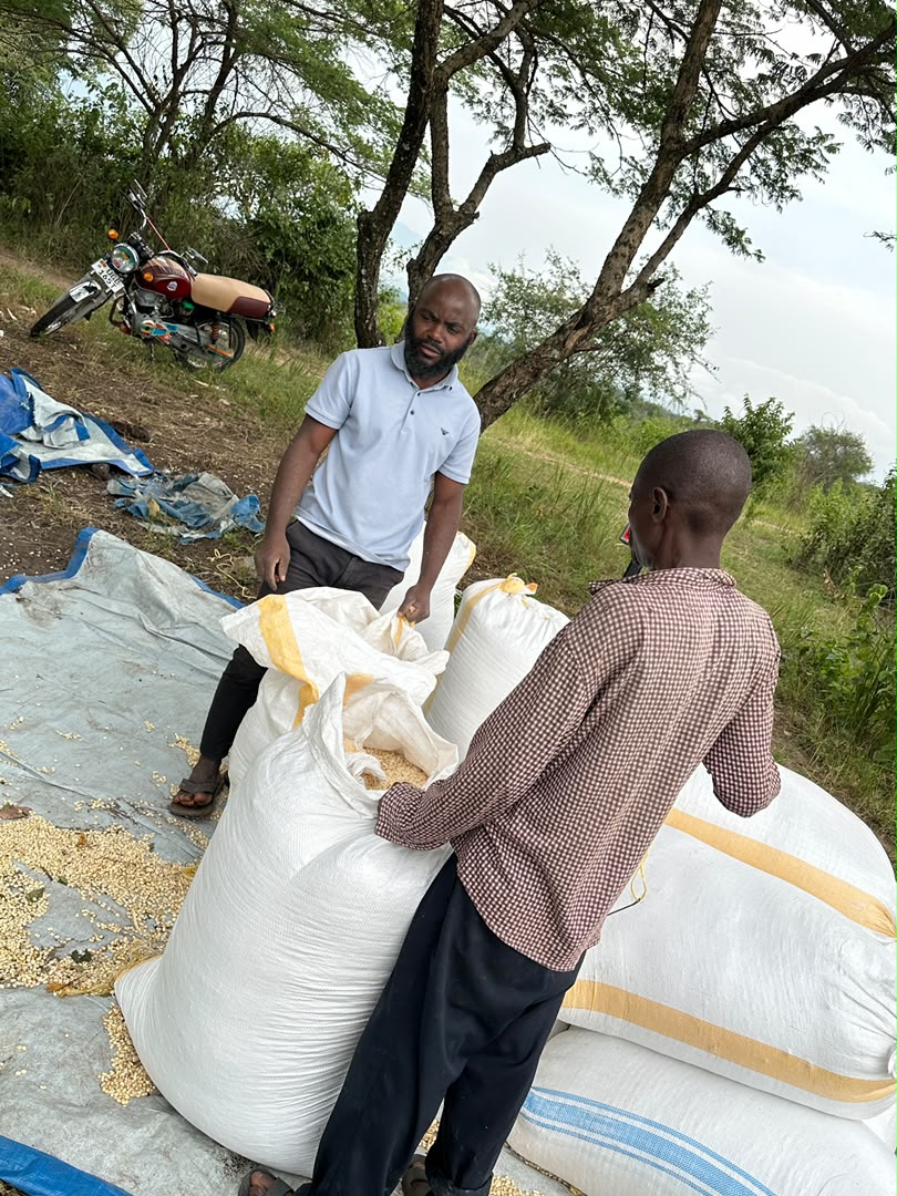 Quality Poultry Feeds
